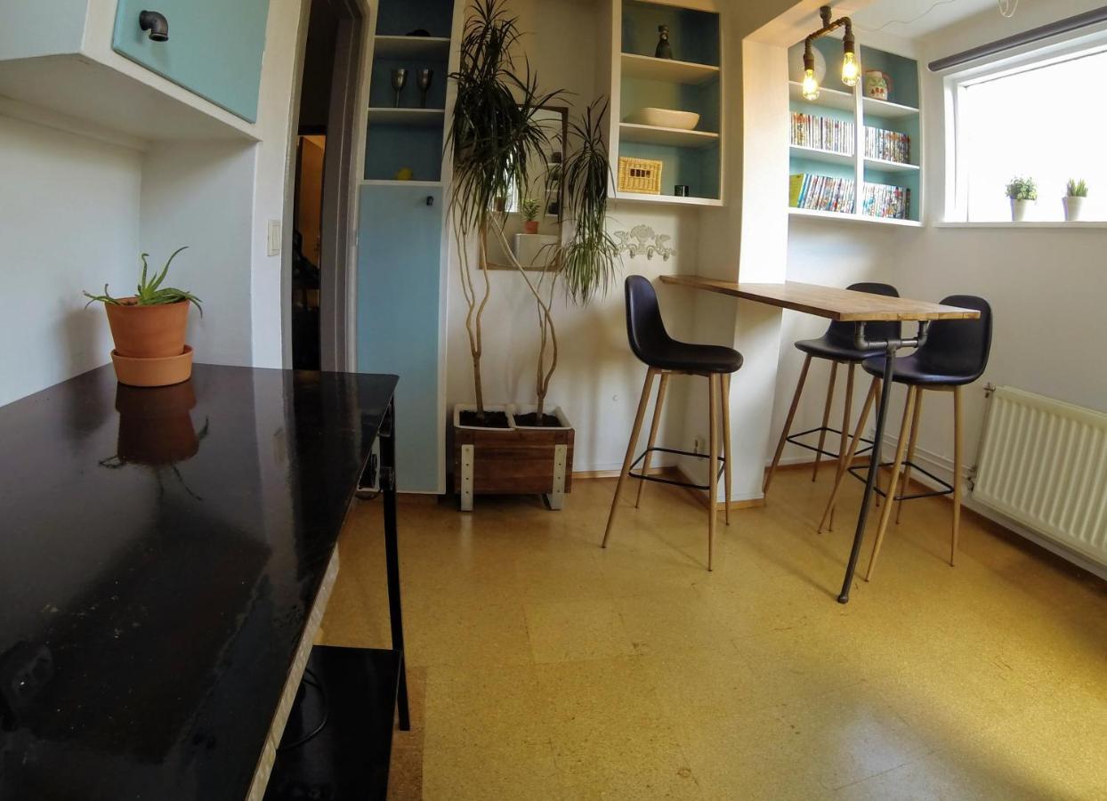Skjolbraut - Cozy Apartment - Central Location - Free Parking - Close To A Public Swimming Pool And Sky Lagoon Рейкьявик Экстерьер фото